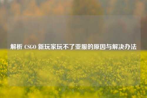 解析 CSGO 新玩家玩不了亚服的原因与解决办法