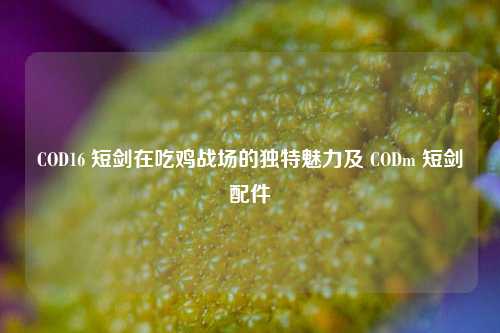 COD16 短剑在吃鸡战场的独特魅力及 CODm 短剑配件