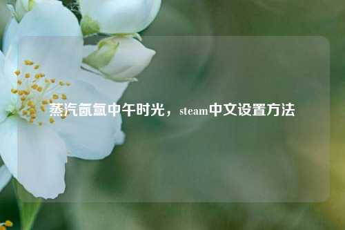 蒸汽氤氲中午时光，steam中文设置方法