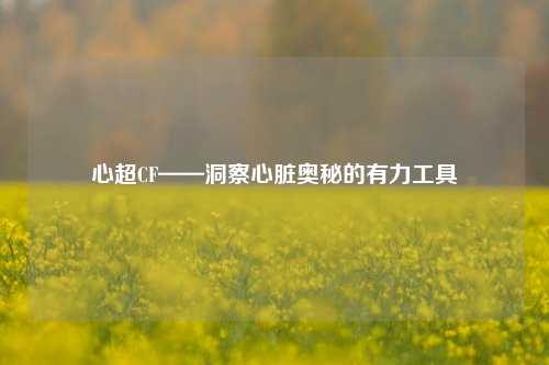 心超CF——洞察心脏奥秘的有力工具