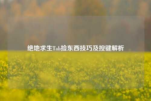 绝地求生Tab捡东西技巧及按键解析