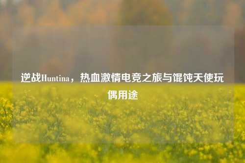 逆战Huntina，热血激情电竞之旅与馄饨天使玩偶用途