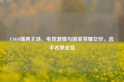 CSGO瑞典主场，电竞激情与国家荣耀交织，选手名单全览
