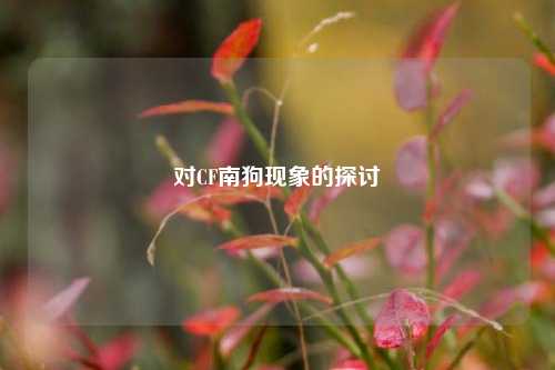 对CF南狗现象的探讨