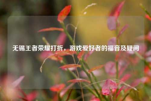 无锡王者荣耀打折，游戏爱好者的福音及疑问