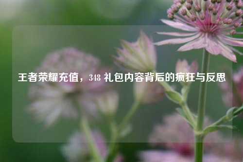 王者荣耀充值，348 礼包内容背后的疯狂与反思