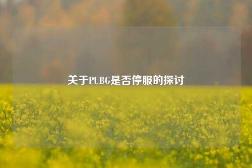 关于PUBG是否停服的探讨