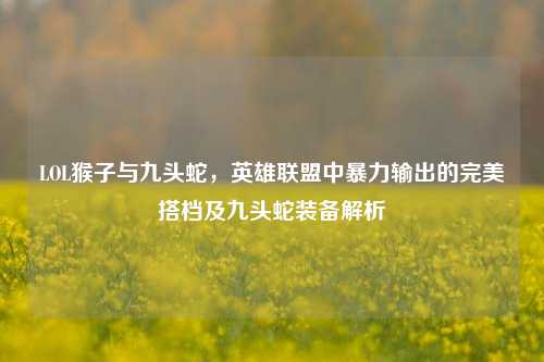 LOL猴子与九头蛇，英雄联盟中暴力输出的完美搭档及九头蛇装备解析