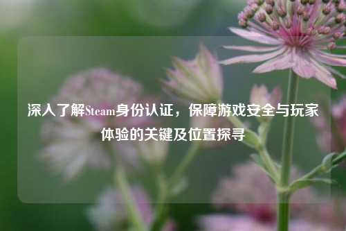 深入了解Steam身份认证，保障游戏安全与玩家体验的关键及位置探寻