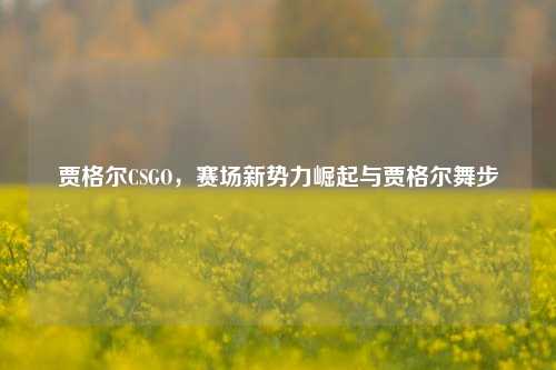 贾格尔CSGO，赛场新势力崛起与贾格尔舞步
