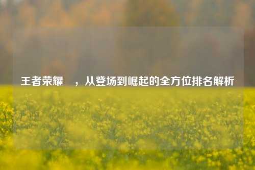 王者荣耀暃，从登场到崛起的全方位排名解析
