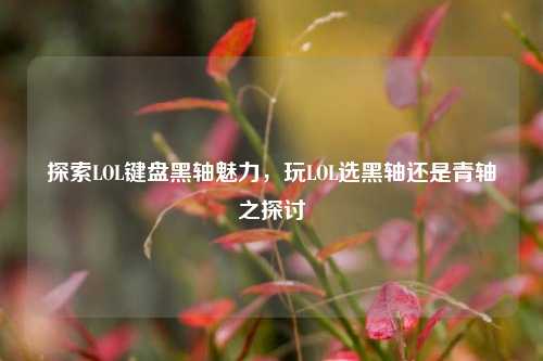 探索LOL键盘黑轴魅力，玩LOL选黑轴还是青轴之探讨