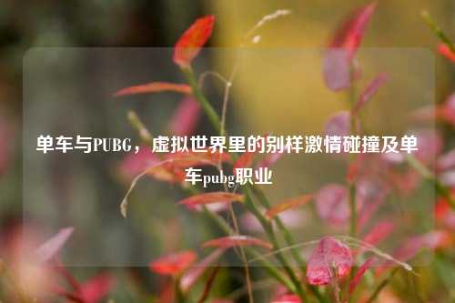 单车与PUBG，虚拟世界里的别样激情碰撞及单车pubg职业