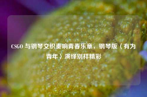 CSGO 与钢琴交织奏响青春乐章，钢琴版〈有为青年〉演绎别样精彩