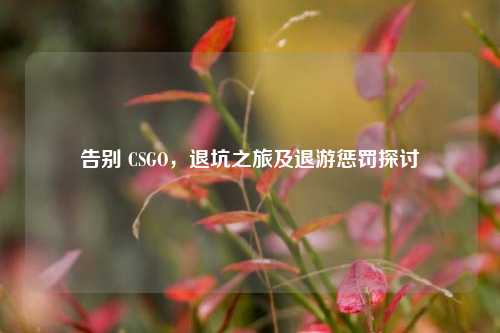告别 CSGO，退坑之旅及退游惩罚探讨