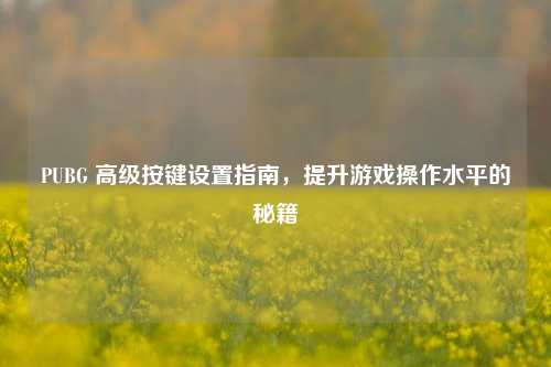 PUBG 高级按键设置指南，提升游戏操作水平的秘籍