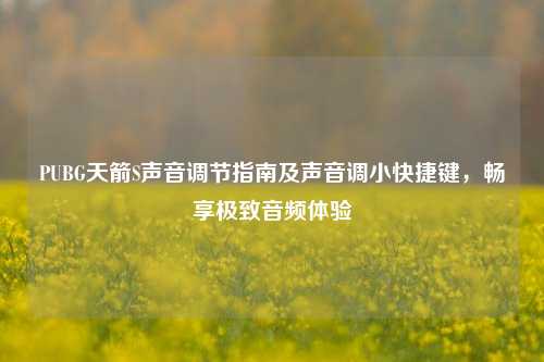 PUBG天箭S声音调节指南及声音调小快捷键，畅享极致音频体验