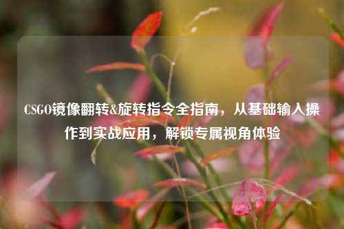 CSGO镜像翻转&旋转指令全指南，从基础输入操作到实战应用，解锁专属视角体验