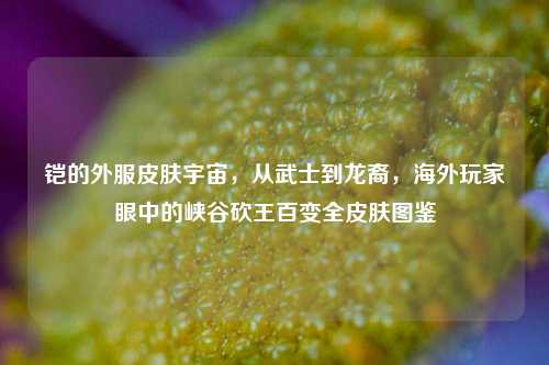 铠的外服皮肤宇宙，从武士到龙裔，海外玩家眼中的峡谷砍王百变全皮肤图鉴