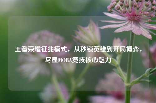 王者荣耀征兆模式，从秒锁英雄到开局博弈，尽显MOBA竞技核心魅力