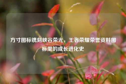 方寸图标镌刻峡谷荣光，王者荣耀荣誉资料图标里的成长进化史