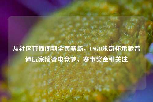 从社区直播间到全民赛场，CSGO米奇杯承载普通玩家滚烫电竞梦，赛事奖金引关注