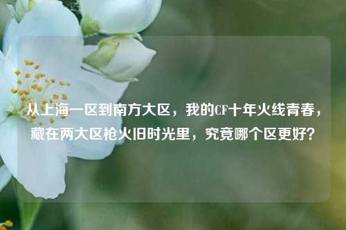 从上海一区到南方大区，我的CF十年火线青春，藏在两大区枪火旧时光里，究竟哪个区更好？