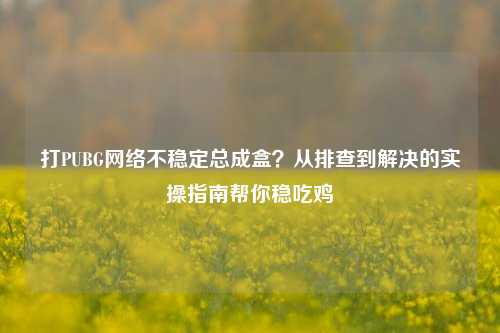打PUBG网络不稳定总成盒？从排查到解决的实操指南帮你稳吃鸡