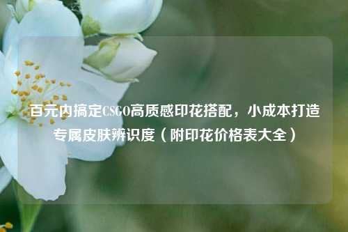 百元内搞定CSGO高质感印花搭配，小成本打造专属皮肤辨识度（附印花价格表大全）