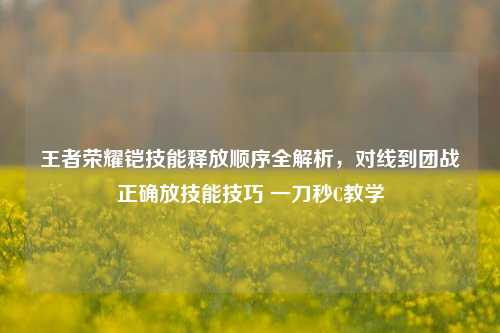 王者荣耀铠技能释放顺序全解析，对线到团战正确放技能技巧 一刀秒C教学