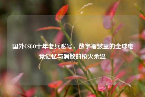国外CSGO十年老兵账号，数字褶皱里的全球电竞记忆与消散的枪火余温