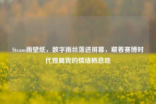 Steam雨壁纸，数字雨丝落进屏幕，藏着赛博时代独属我的情绪栖息地