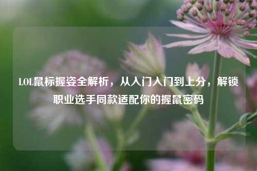 LOL鼠标握姿全解析，从入门入门到上分，解锁职业选手同款适配你的握鼠密码