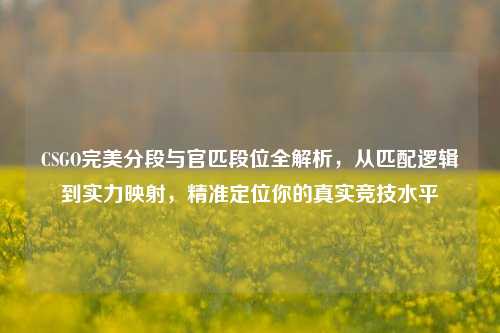 CSGO完美分段与官匹段位全解析，从匹配逻辑到实力映射，精准定位你的真实竞技水平