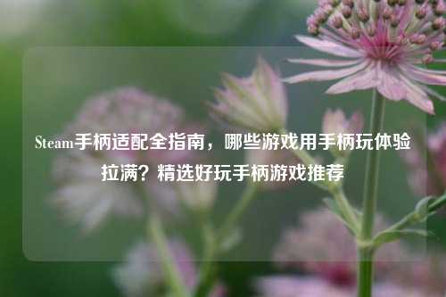 Steam手柄适配全指南，哪些游戏用手柄玩体验拉满？精选好玩手柄游戏推荐
