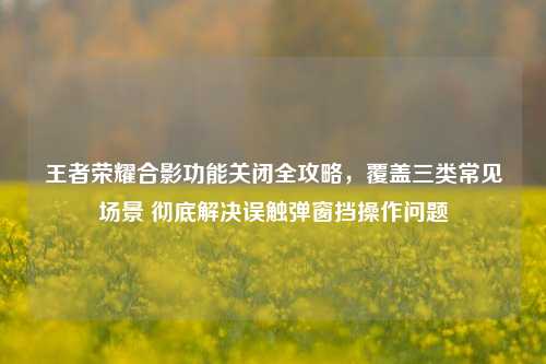 王者荣耀合影功能关闭全攻略，覆盖三类常见场景 彻底解决误触弹窗挡操作问题