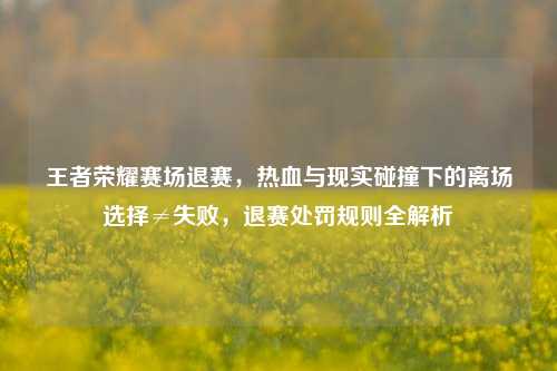 王者荣耀赛场退赛，热血与现实碰撞下的离场选择≠失败，退赛处罚规则全解析