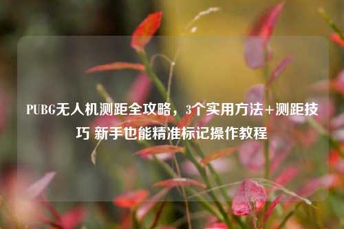 PUBG无人机测距全攻略,3个实用方法+测距技巧 新手也能精准标记操作教程