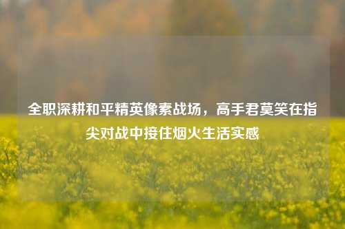 全职深耕和平精英像素战场,高手君莫笑在指尖对战中接住烟火生活实感