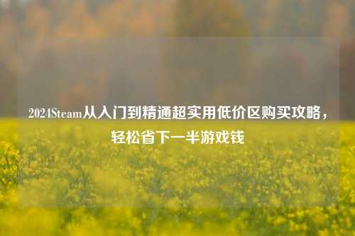 2024Steam从入门到精通超实用低价区购买攻略，轻松省下一半游戏钱