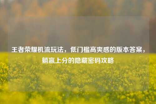 王者荣耀机流玩法，低门槛高爽感的版本答案，躺赢上分的隐藏密码攻略