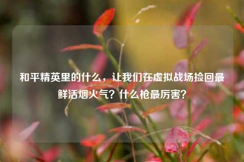 和平精英里的什么，让我们在虚拟战场捡回最鲜活烟火气？什么枪最厉害？