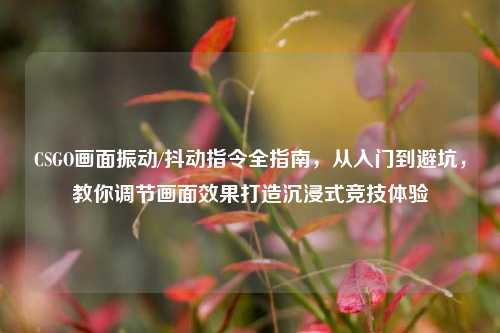 CSGO画面振动/抖动指令全指南，从入门到避坑，教你调节画面效果打造沉浸式竞技体验