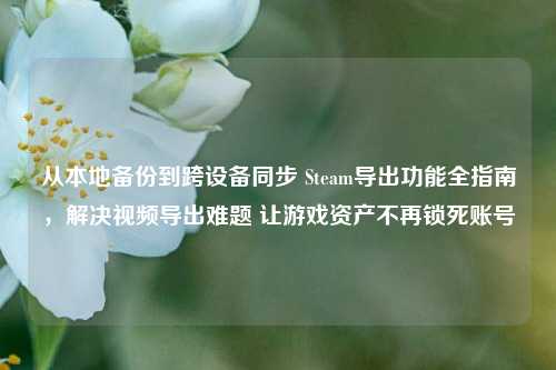 从本地备份到跨设备同步 Steam导出功能全指南，解决视频导出难题 让游戏资产不再锁死账号