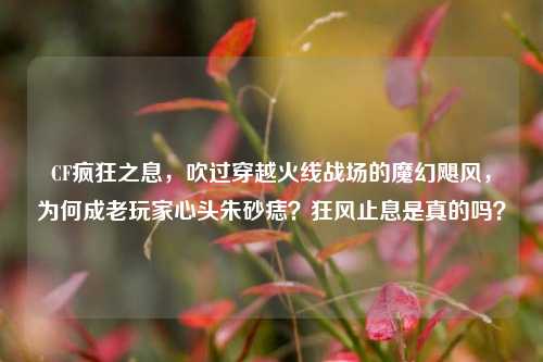 CF疯狂之息，吹过穿越火线战场的魔幻飓风，为何成老玩家心头朱砂痣？狂风止息是真的吗？