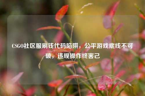 CSGO社区服刷钱代码陷阱,公平游戏底线不可破,违规操作终害己