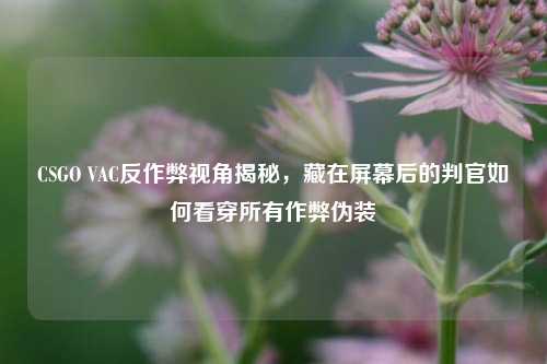 CSGO VAC反作弊视角揭秘，藏在屏幕后的判官如何看穿所有作弊伪装