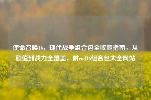 使命召唤16，现代战争组合包全收藏指南，从颜值到战力全覆盖，附cod16组合包大全网站