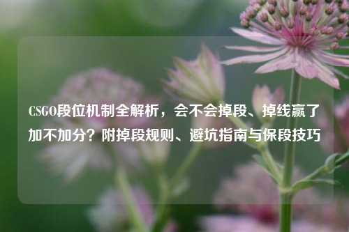 CSGO段位机制全解析，会不会掉段、掉线赢了加不加分？附掉段规则、避坑指南与保段技巧