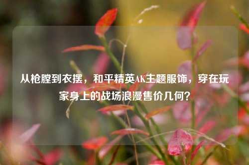 从枪膛到衣摆，和平精英AK主题服饰，穿在玩家身上的战场浪漫售价几何？